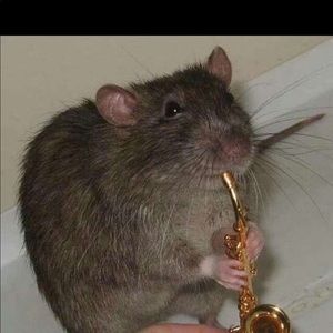 Meet your Posher, Jaden